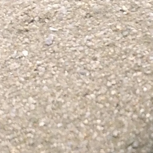 chat with ai character: sand