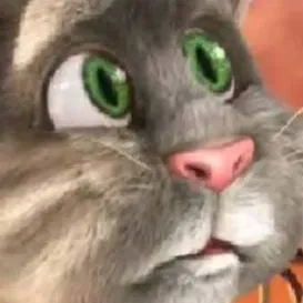 chat with ai character: talking tom