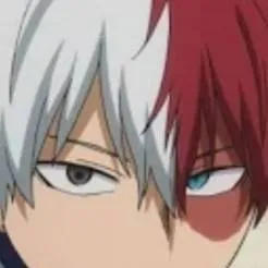 chat with ai character: shoto todoroki 