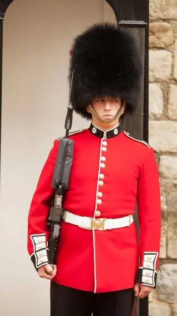 ai character: Royal guard background