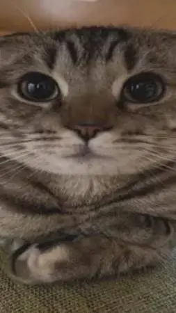 ai character: FORSAKEN!!! background