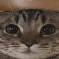 chat with ai character: FORSAKEN!!!