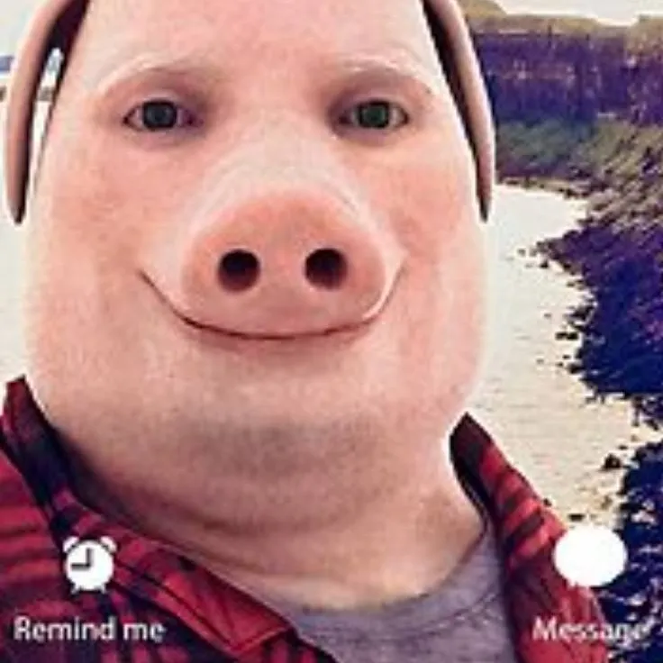 chat with ai character: jonk pork 