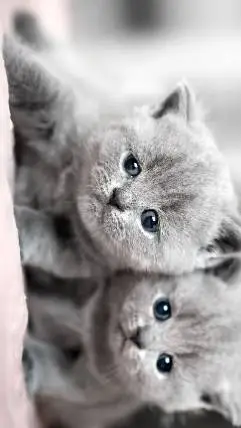 ai character: Cute kittens background