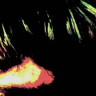 chat with ai character: Cassidy (Fnaf)