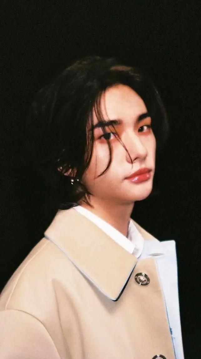 ai character: Hwang Hyunjin background