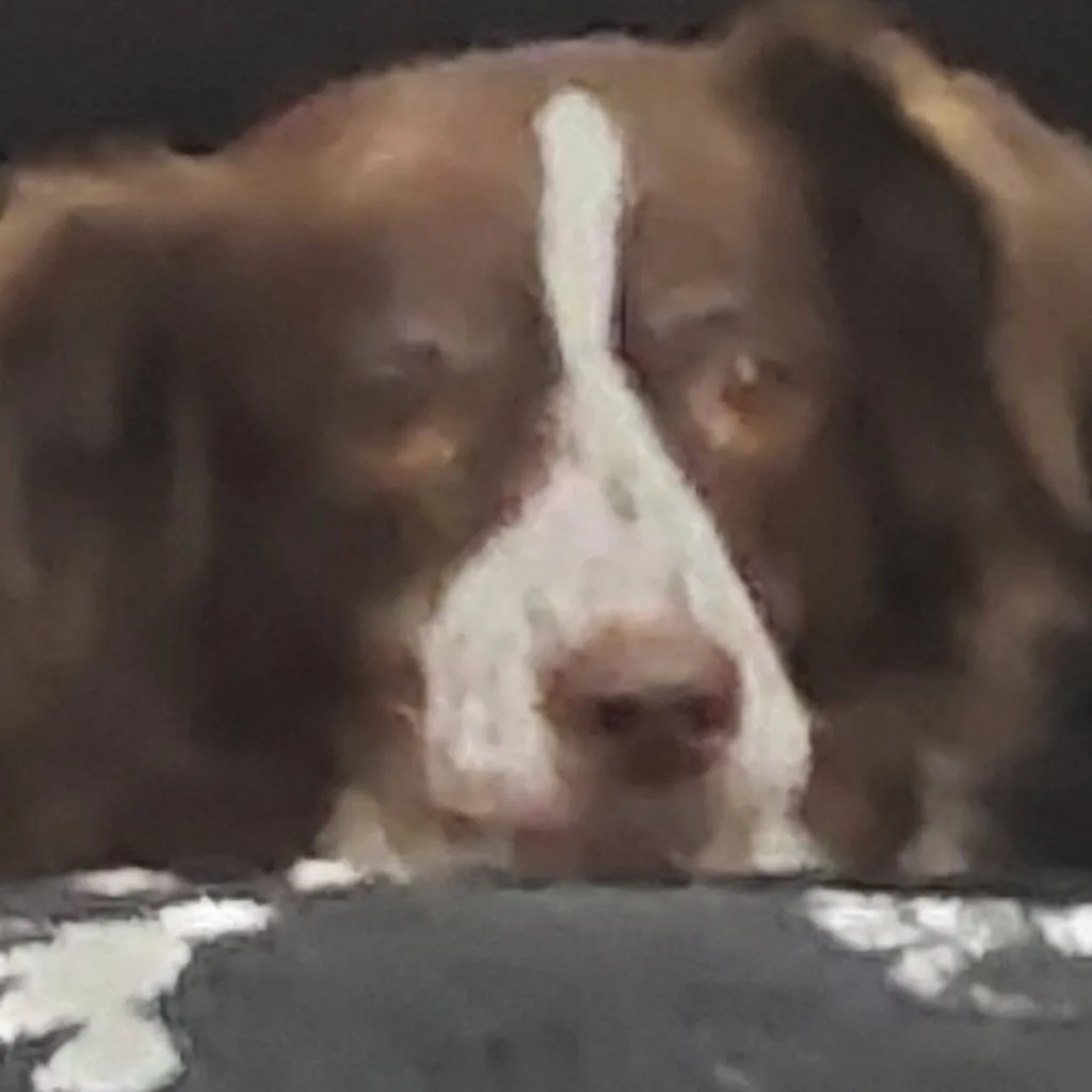 chat with ai character: all squads 17