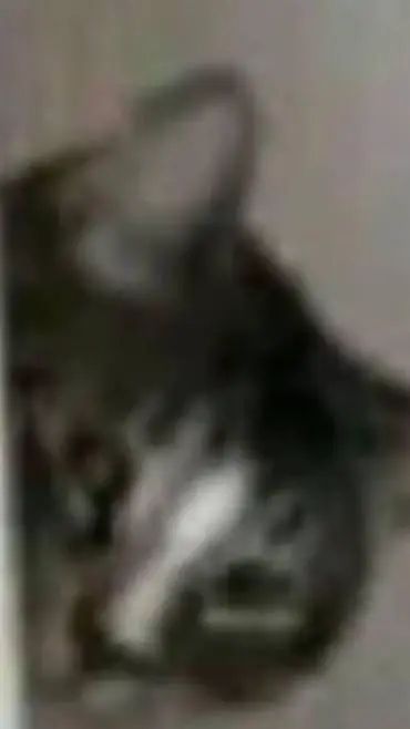 ai character: Talkior-U2bypPQz background