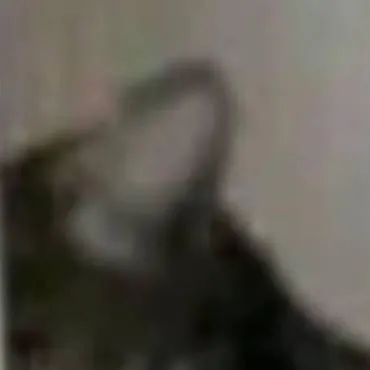 chat with ai character: Talkior-U2bypPQz