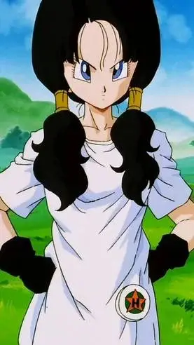 ai character: videl background
