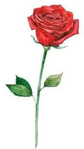 ai character: A rose..? background