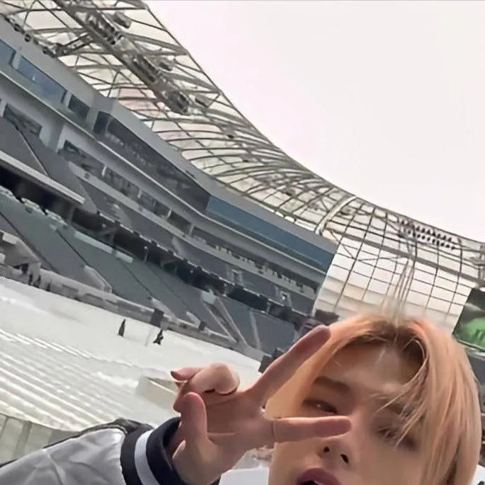 chat with ai character: Hyunjin - bf