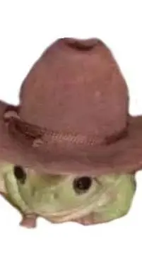 ai character: Cowboy Frog background