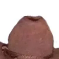 chat with ai character: Cowboy Frog