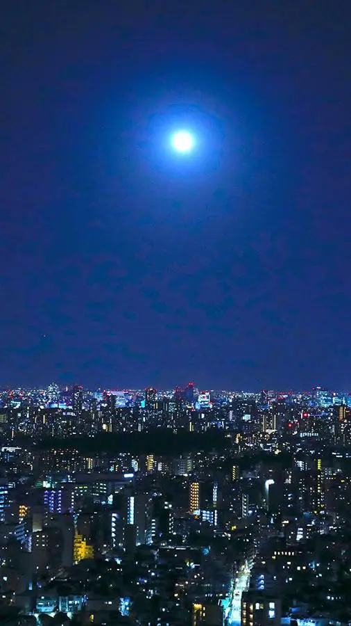 ai character: N.V.A.O.S background