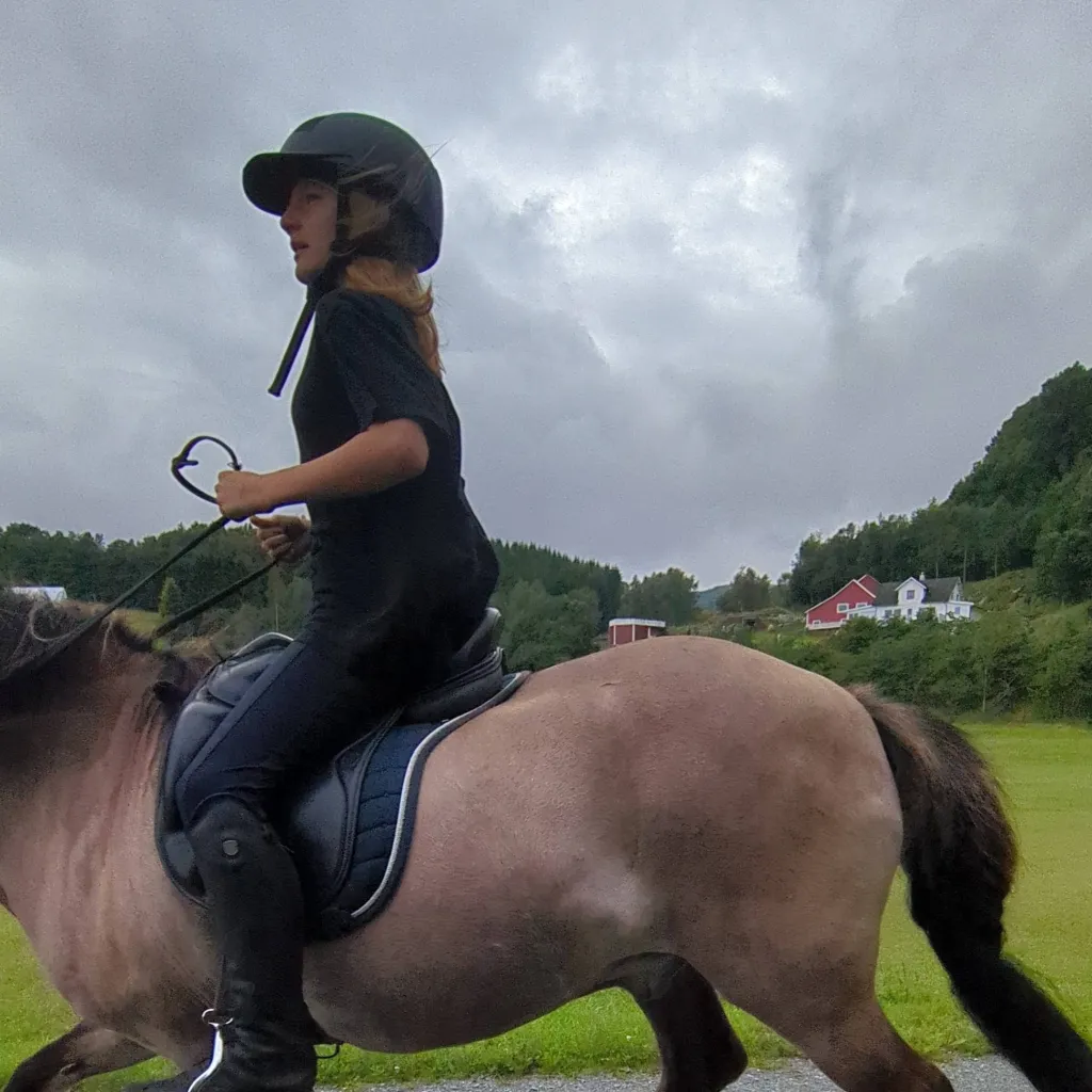 chat with ai character: horse girl