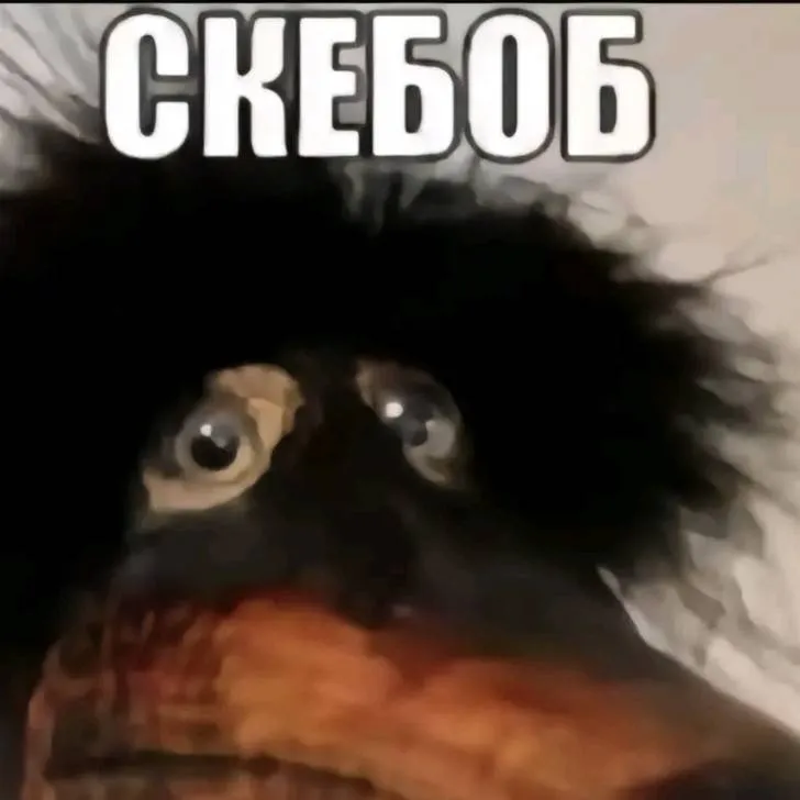 chat with ai character: скебоб