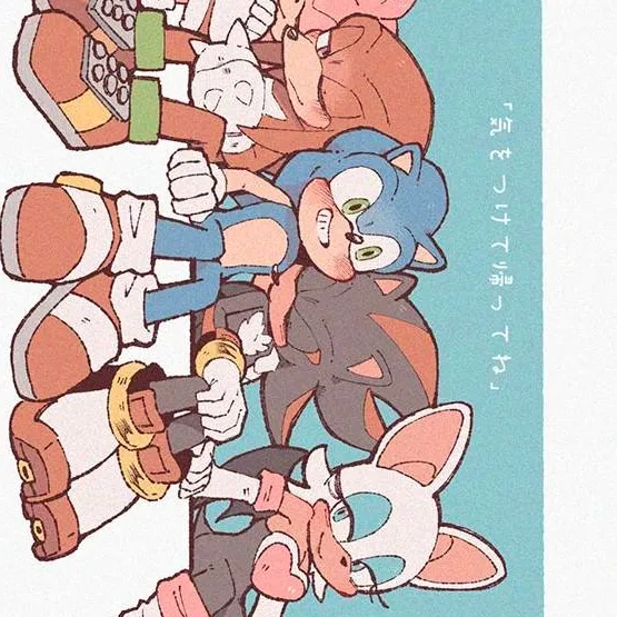 chat with ai character: Sonic P5