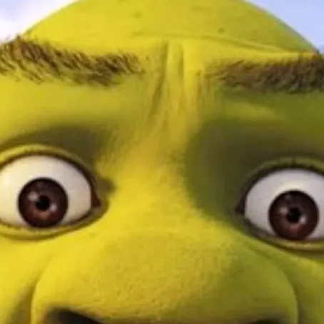 chat with ai character: 𝐒𝐡𝐫𝐞𝐤