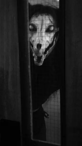 ai character: SCP-1471 background