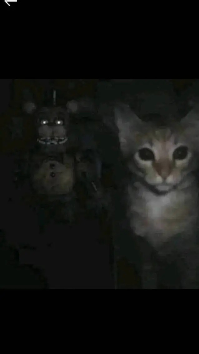 ai character: yo xd background