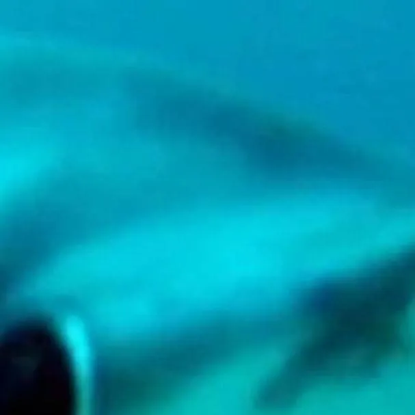 chat with ai character: ANNOUNCEMENT!!!!