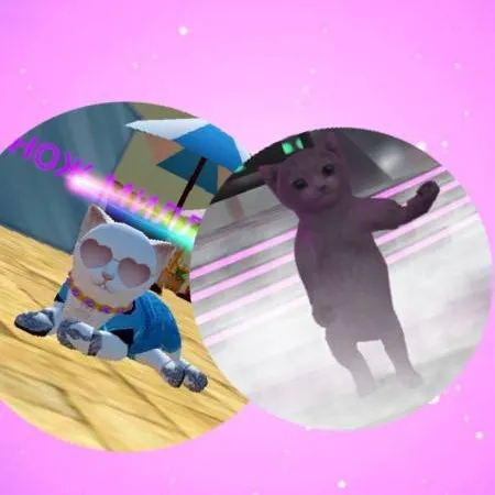 chat with ai character: Cat sim Wenda