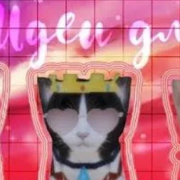 chat with ai character: Cat cutie quassne