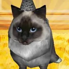 chat with ai character: Cat 2015