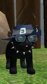 ai character: Cat simulator 2015 background