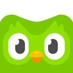 chat with ai character: Duolingo 