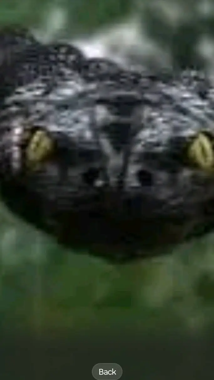 ai character: anaconda  background