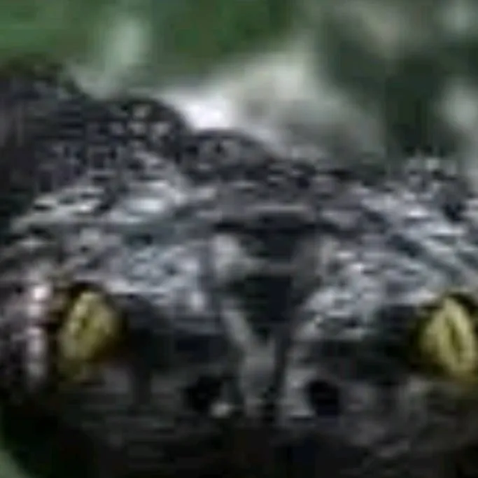 chat with ai character: anaconda 