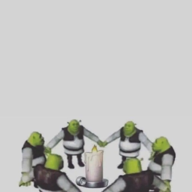 chat with ai character: Shrek ritual