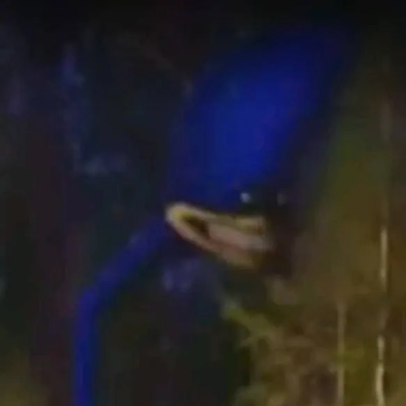 chat with ai character: shin Sonic