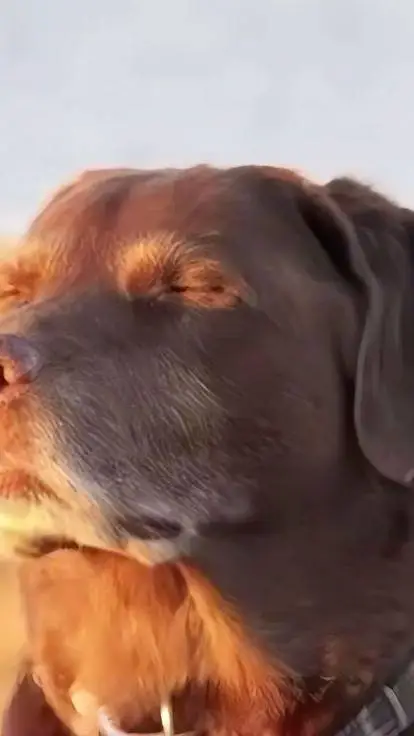 ai character: you're a meme  background