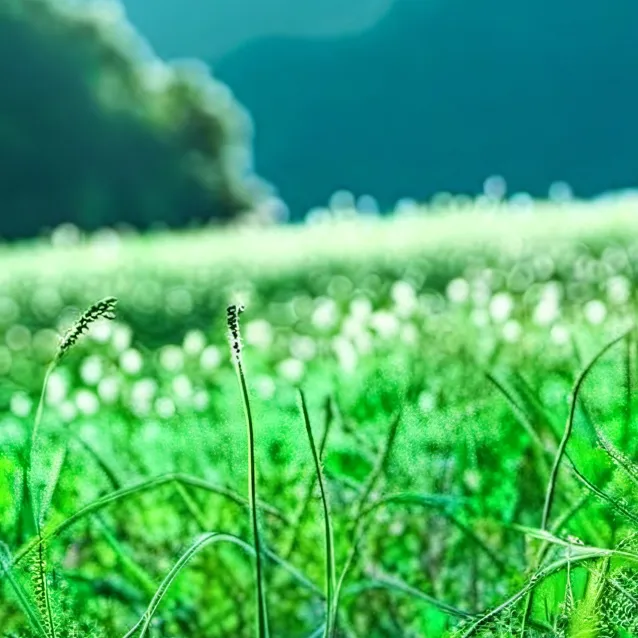 chat with ai character: grass