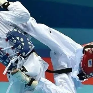 chat with ai character: Taekwondo