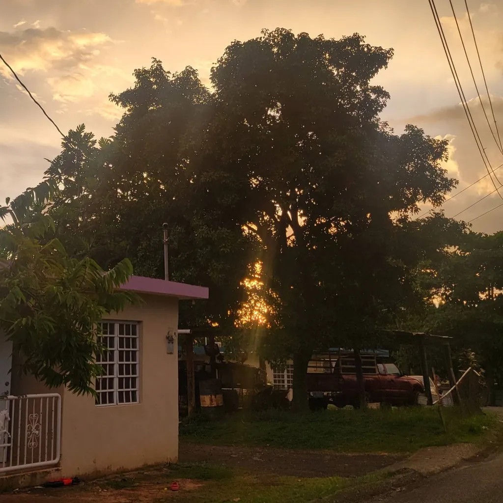 chat with ai character:  🥺stray kids🥺