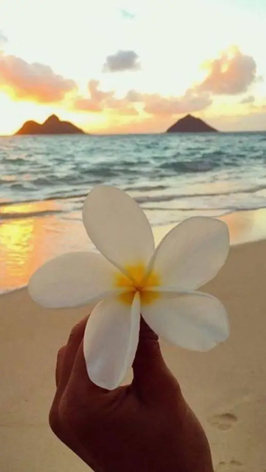 ai character: Ethan background