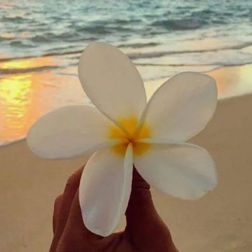 chat with ai character: Ethan