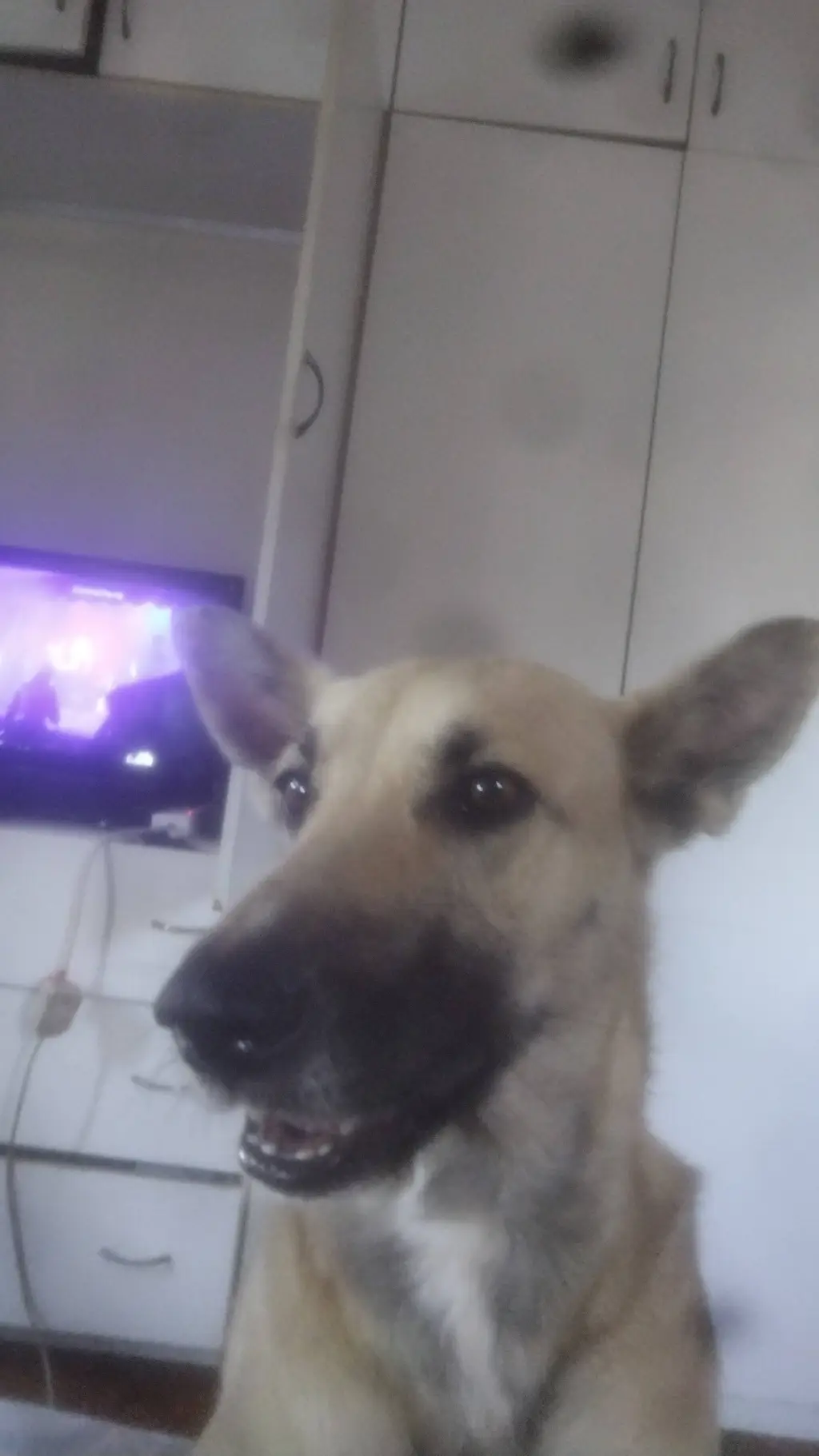 ai character: Mia  background