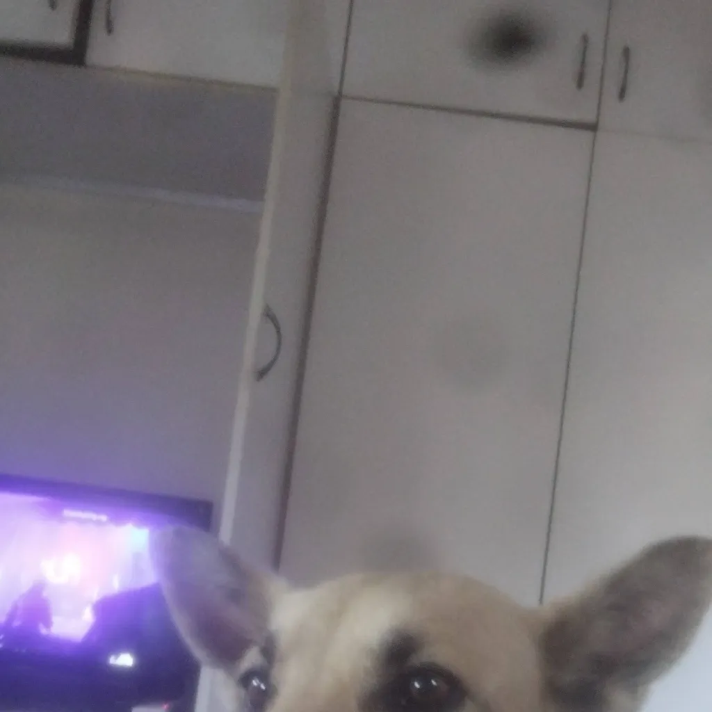 chat with ai character: Mia 