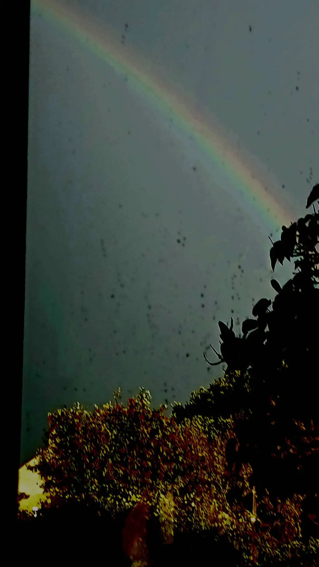 ai character: Over the rainbow  background