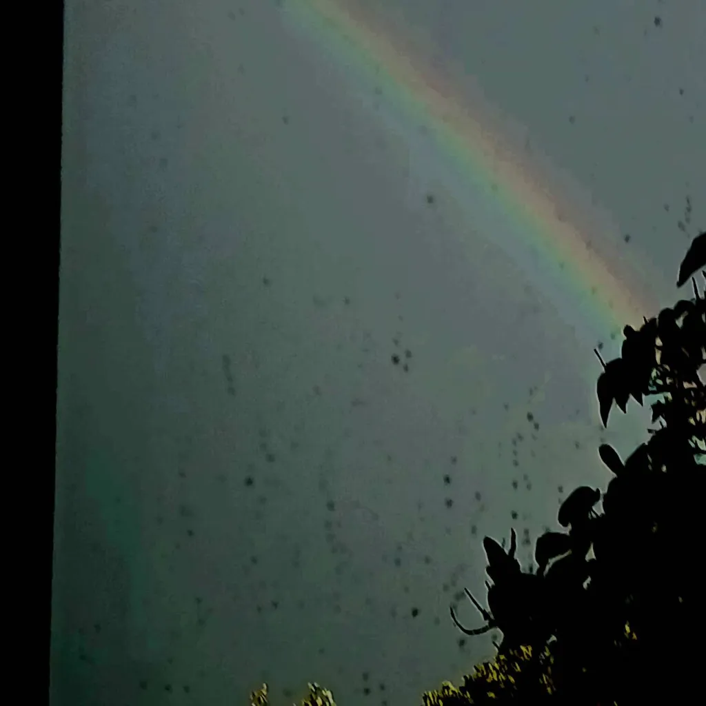 chat with ai character: Over the rainbow 