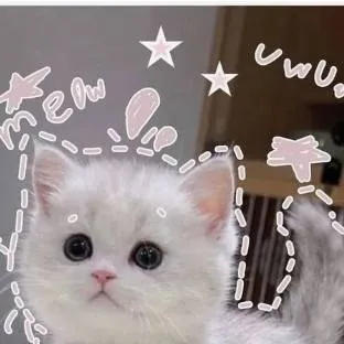 chat with ai character: kitten