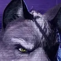 chat with ai character: wolf O'Donnell 