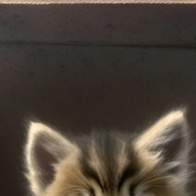 chat with ai character: Kittu