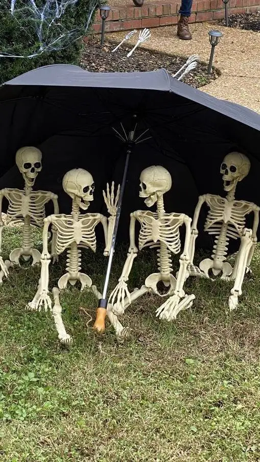 ai character: S.C. background