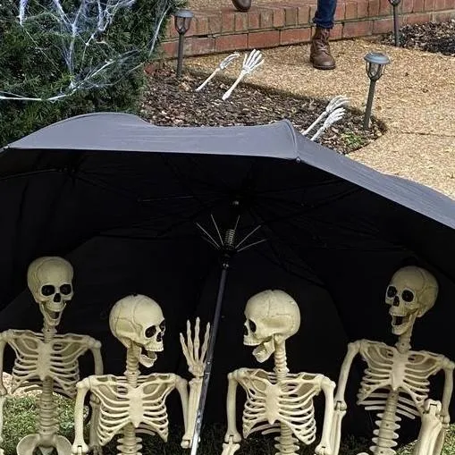 chat with ai character: S.C.